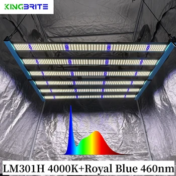 480 וואט LM301H 4000K+כחול רויאל 460nm KingBrite הצמח מקורה LED לגדול אור שיבוטים ואת VegL1000mm*708mm KingBrite 480W