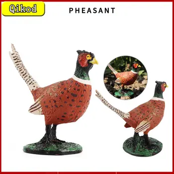 מדע וחינוך תרנגולות חיות מודל צעצועים צבעוניים זהב תרנגול חוות עופות נוף סימולציה קישוט מתנות